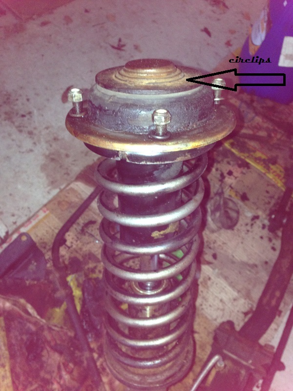 IMG_0891 - Copie.JPG