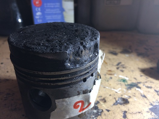 IMG_0559 - Copie.JPG