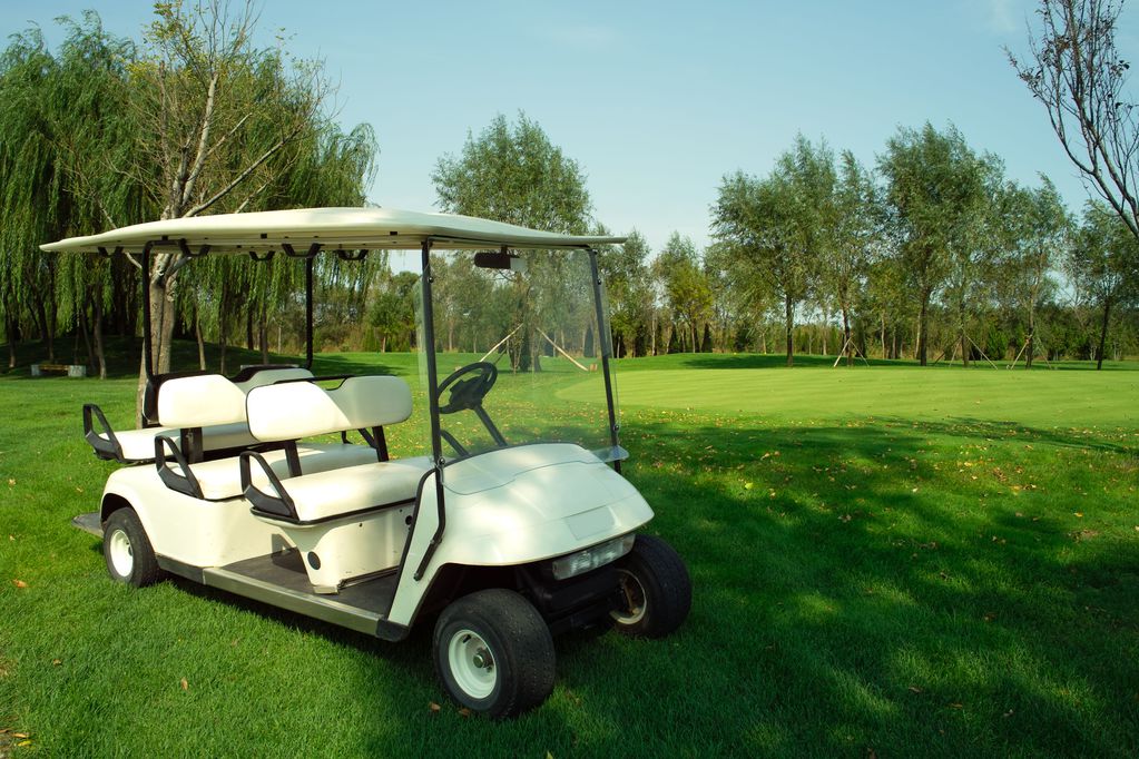 voiturette-golf-terrain.jpg