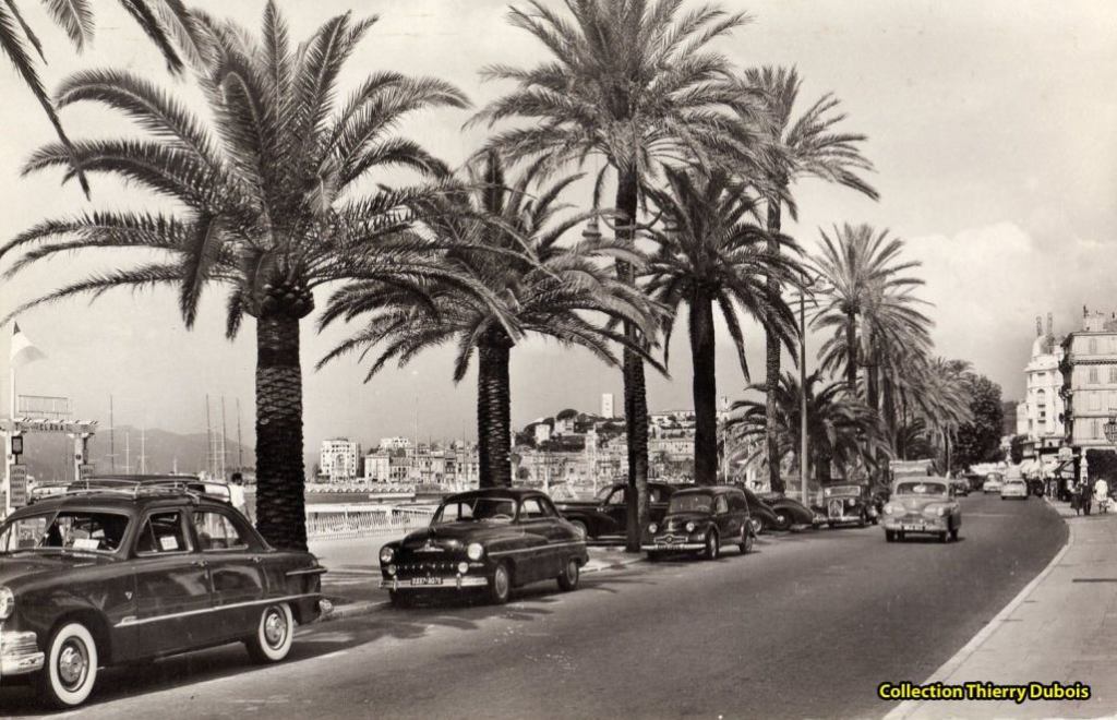 coupé vedette Canne.jpg