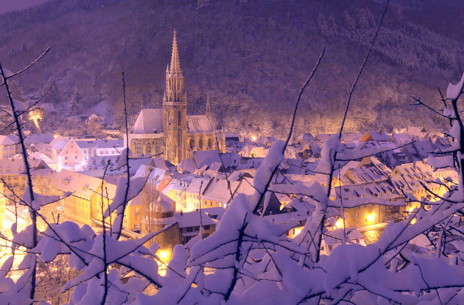 Hivers en Alsace 2021