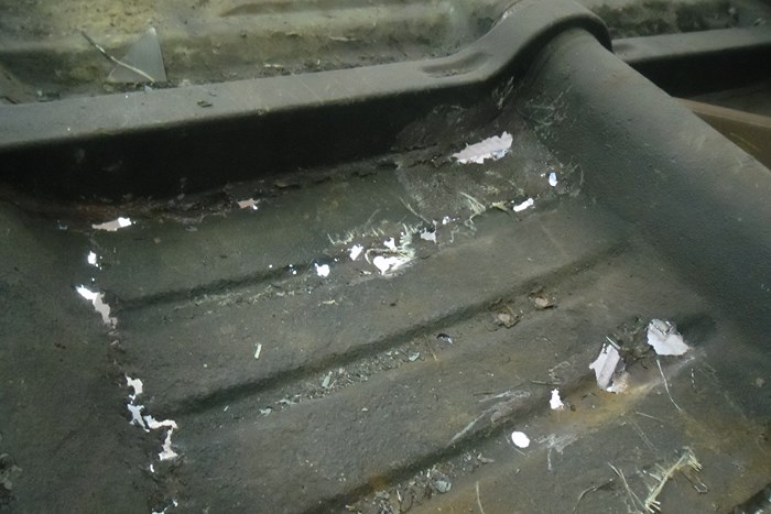 SICMA VEDETTE TRIANON JM MULLER (17).JPG