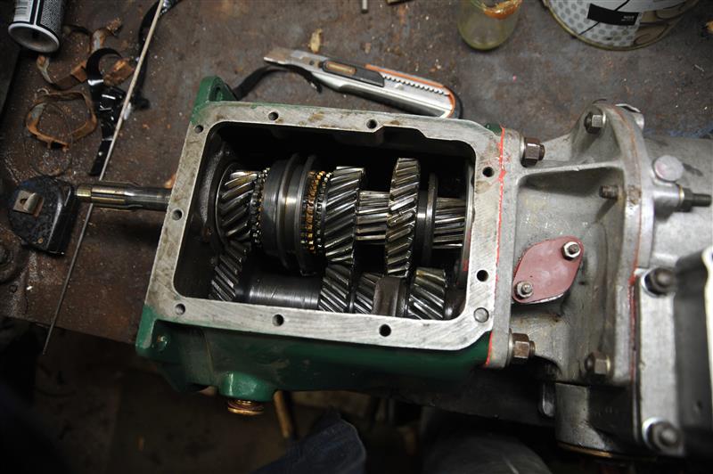 ALX_1699 (Custom).JPG